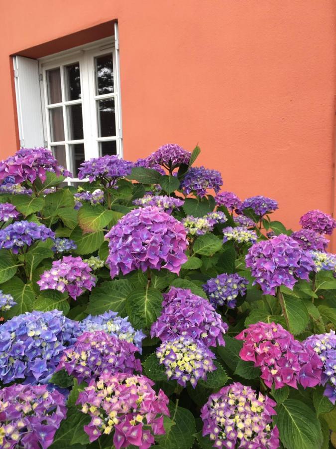Hotel La Belle Etoile Thouare-sur-Loire Ngoại thất bức ảnh